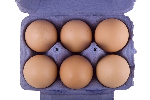 Jaja kur brązowy w opakowaniu jaj niebieski — Zdjęcie stockowe