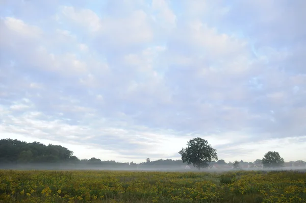 Niebla matinal —  Fotos de Stock