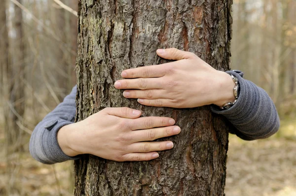 Handen knuffel een boom — Stockfoto