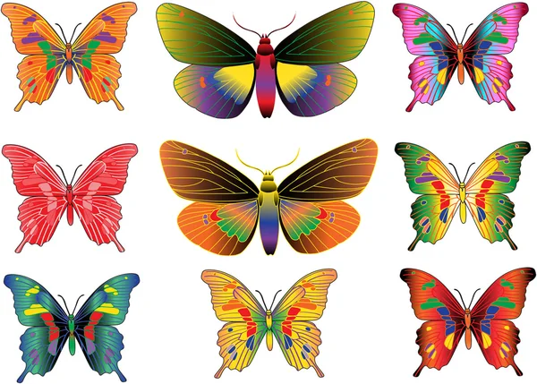 Uppsättning av olika flerfärgade fjärilar — Stock vektor