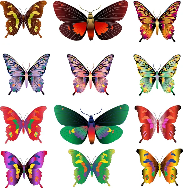 Uppsättning av olika flerfärgade fjärilar — Stockfoto