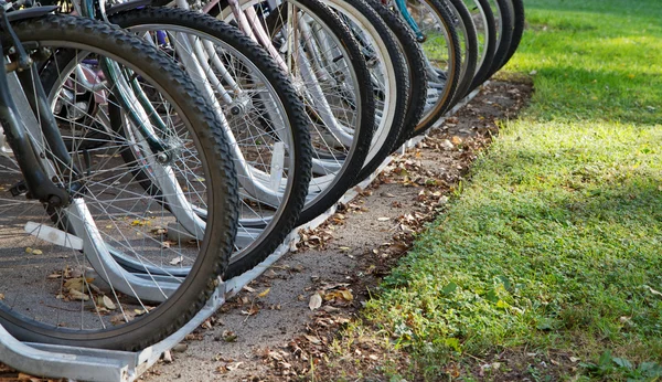 Ряд велосипедних шин — стокове фото