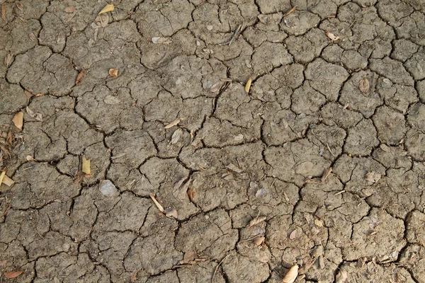 stock image Cracked earth