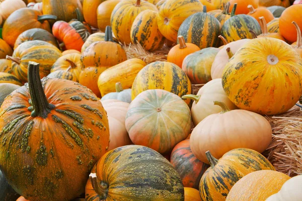 Pumpkins on haystacks — Stock Photo, Image