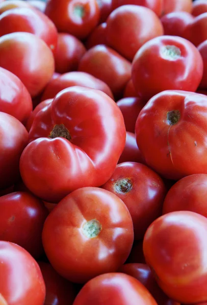 Hög med tomater — Stockfoto