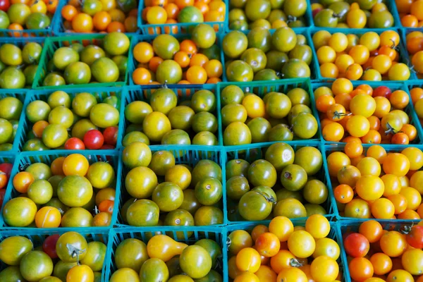 Multi-colored cherry tomatoes — Stock Photo, Image