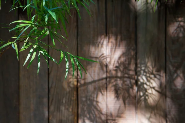 Bambu blad staket — Stockfoto