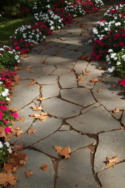 Flower boardered rock path — Stock Photo, Image