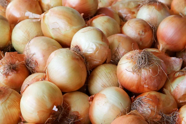 Pile of yellow Onions — Stock Photo, Image