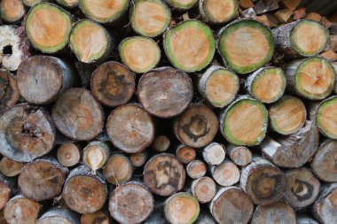 Green wood log pile clipart