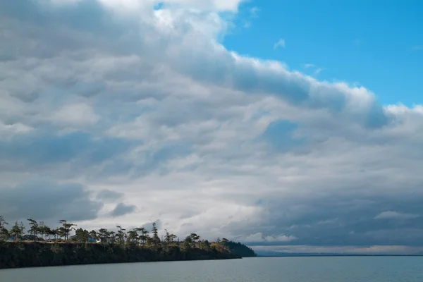 フアン ・ デ ・ フーカ海嵐フロント木水平 — ストック写真