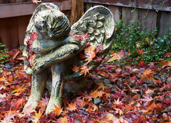 秋の天使 — ストック写真