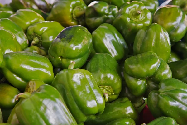 Pile of green peppers — Stock Photo, Image