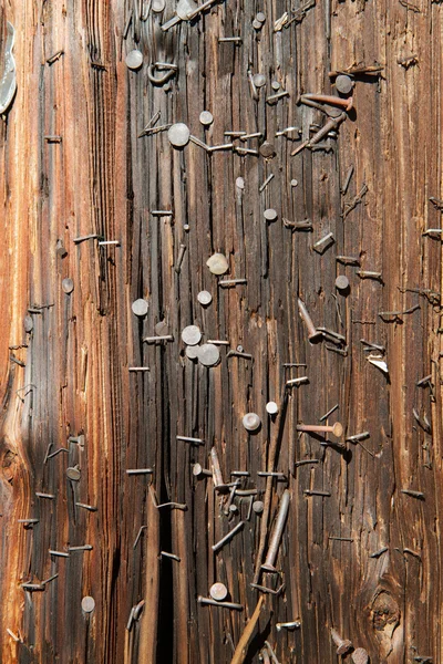 Utility Pole nails vertical — Stock Photo, Image