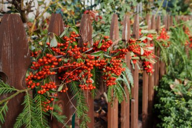 Red berry decorated fence clipart