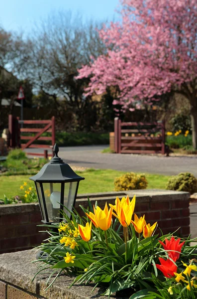 İngilizce ülke Bahçe bahar parlak ve güzel renkleri