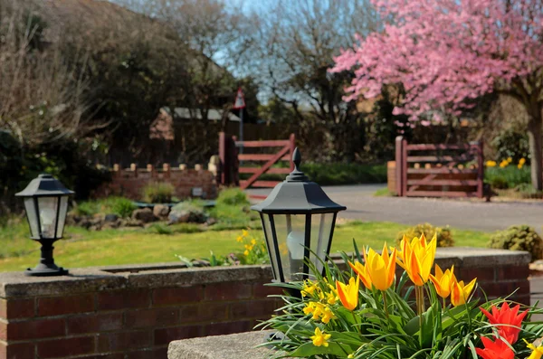 Cores brilhantes e bonitas de um jardim rural inglês na primavera — Fotografia de Stock
