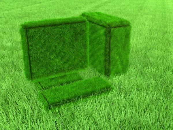 Ordenador Hierba Verde Superficie Hierba —  Fotos de Stock