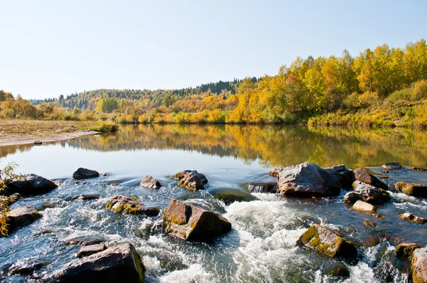 stock image Autumn on the river