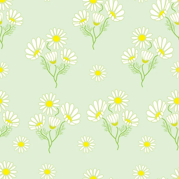 Modèle sans couture avec des herbes de camomille — Image vectorielle