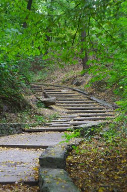 Güzel park