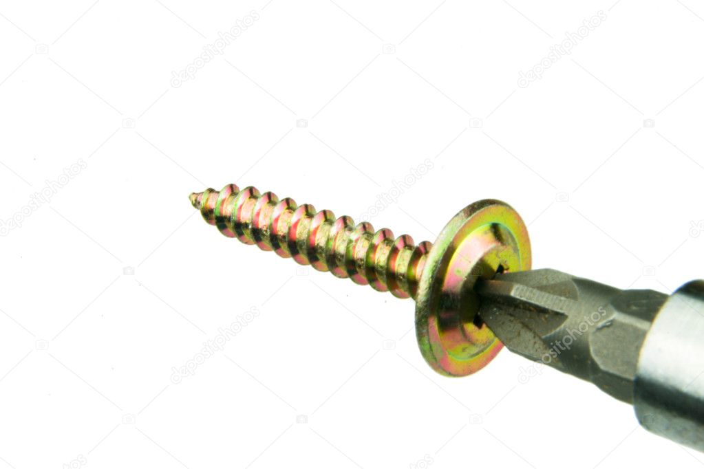 Macro of a Screw Isolated Over White with Driver Bit