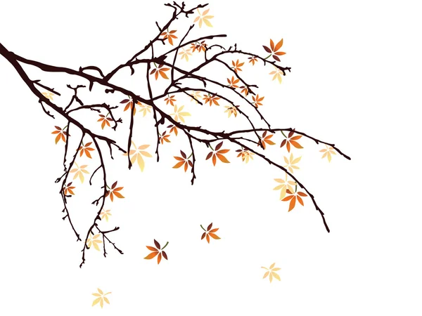Herfstbladeren — Stockvector