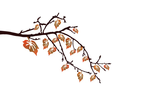 Folhas de Outono —  Vetores de Stock