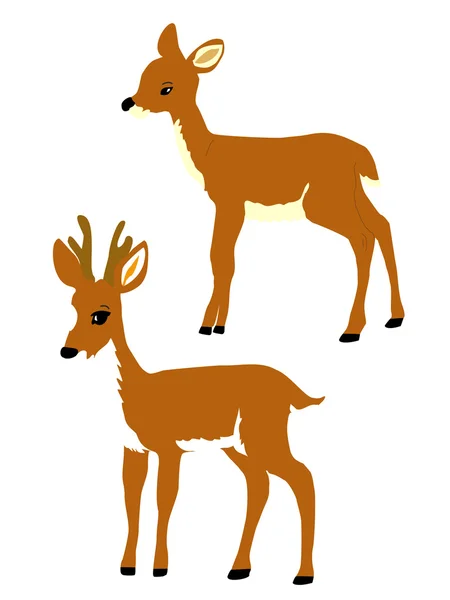 Reindeer - animal — Stock Vector