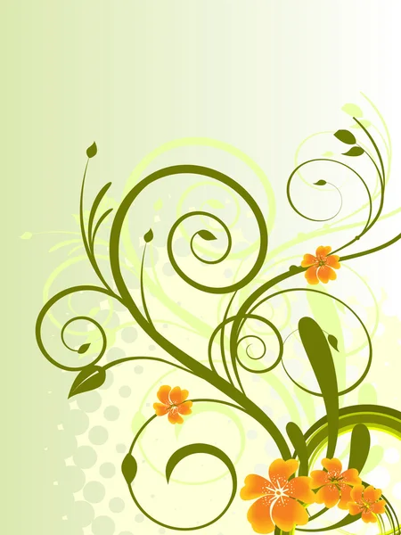 Vektorillustration Von Bunten Floralen Elementen Und Blumen — Stockvektor