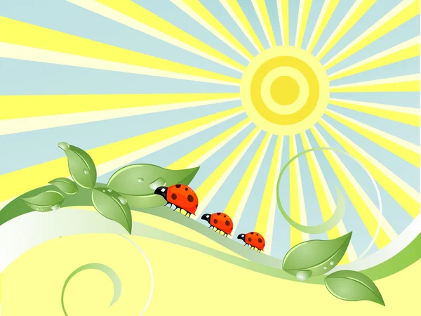 矢量插画的花卉元素和叶子上的瓢虫 — 图库矢量图片