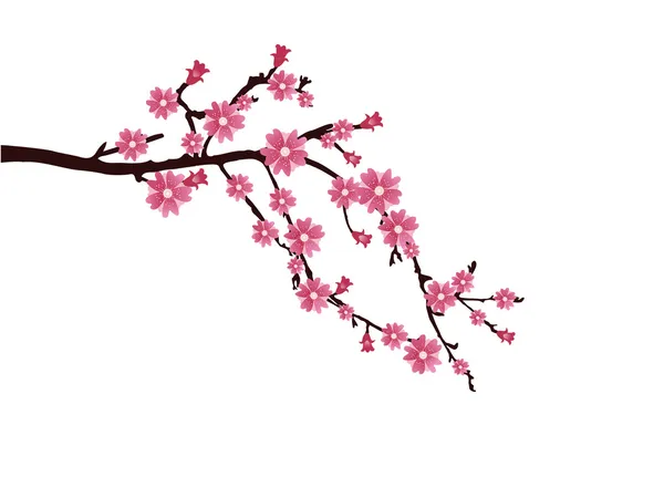 Flor de cerezo — Vector de stock