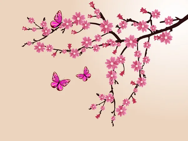 Fleur de cerisier — Image vectorielle
