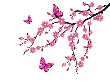 Cherry blossom clipart