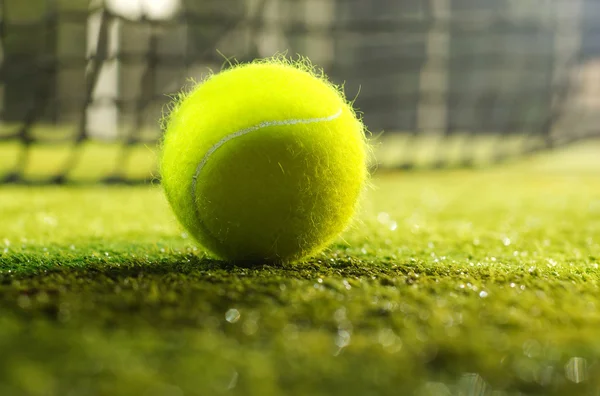 Pelota de tenis —  Fotos de Stock