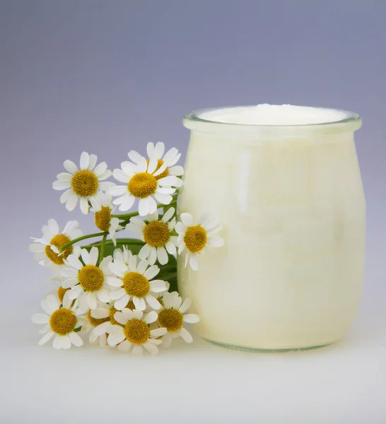 Yogur con flor de manzanilla — Foto de Stock