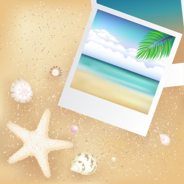 Blank Photos With Starfish clipart