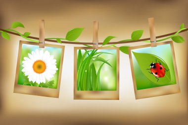 Photos With Nature Image clipart