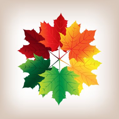 Autumn Leaves clipart