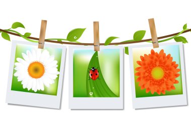 Photo Frames With Nature Image clipart