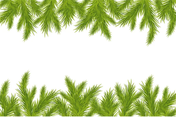 Zöld karácsonyfa ága — Stock Vector