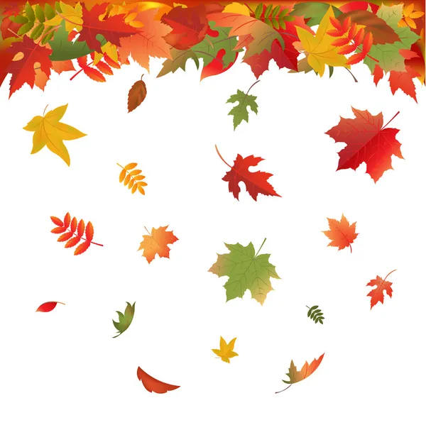 Autumn Bright Leaves — Stock Vector