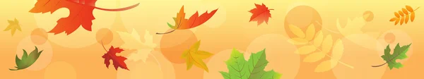 A levelek őszi banner — Stock Vector