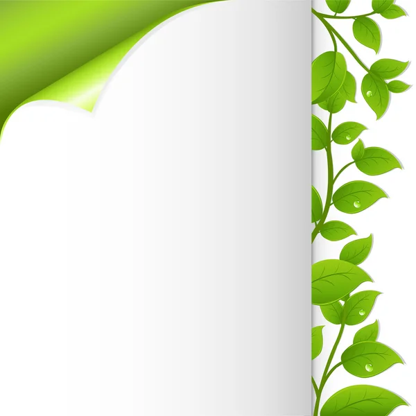 Πράσινα φύλλα και χαρτί — Διανυσματικό Αρχείο