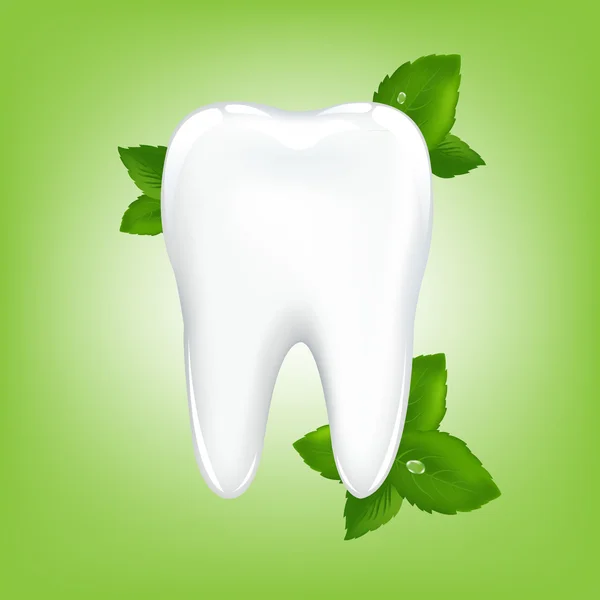 Zub s mátou — Stockový vektor