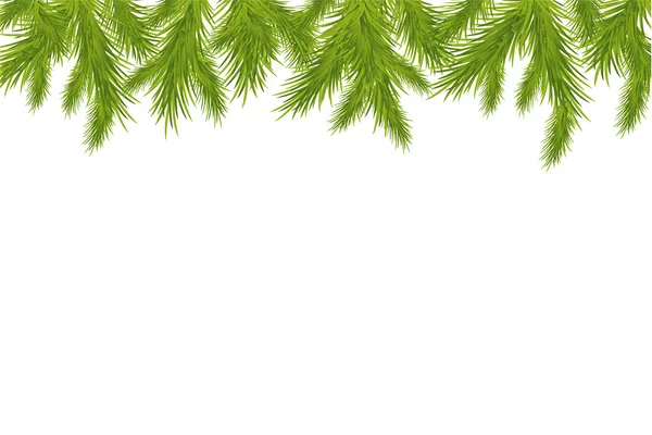 Ветвь рождественской елки — стоковый вектор