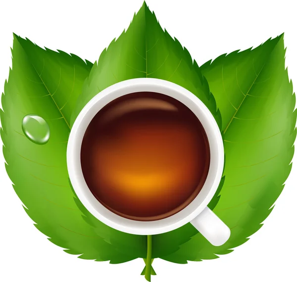 Xícara com chá e folhas verdes — Vetor de Stock