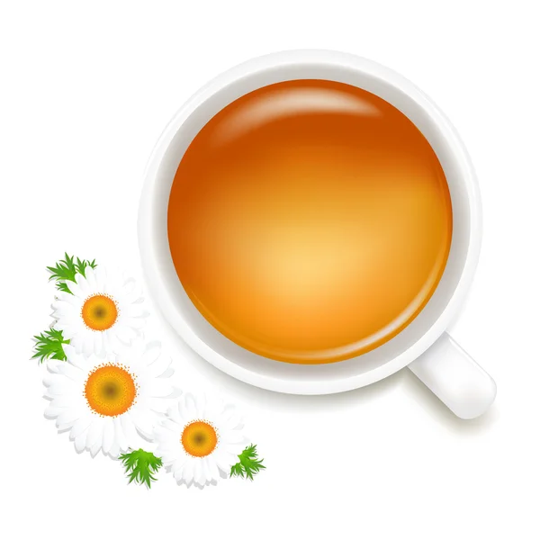 Papatya ile bitkisel çay — Stok Vektör