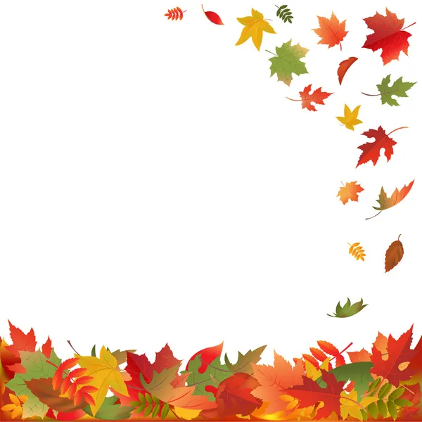 Autumn Falling Leaves — Stock Vector