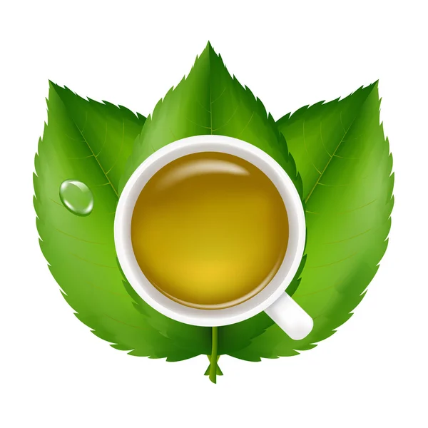 Green Tea — Stock Vector